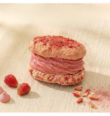 Strawberry Soft Yogurt Cheesecake Dacquoise